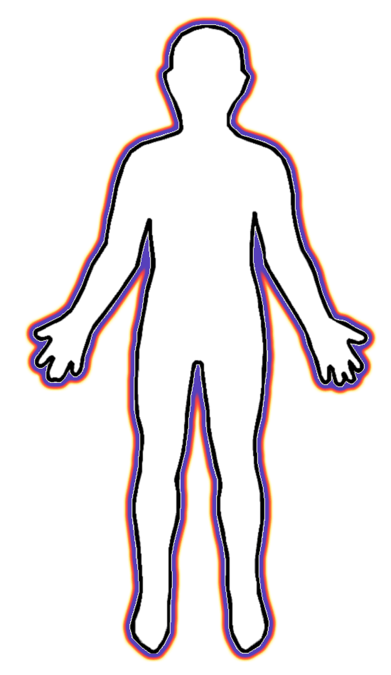 Human body skeleton clipart
