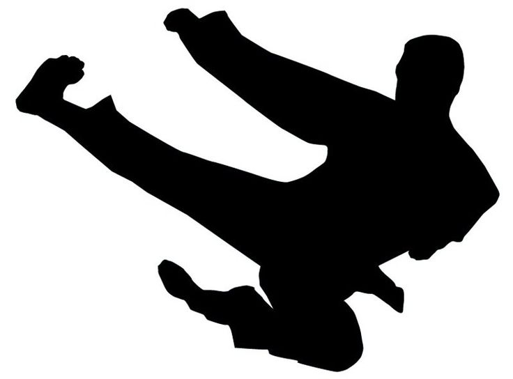 ninja kick Gallery