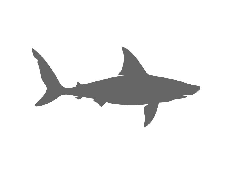Marine Stencil Shapes - Custom Ocean Stencils - Beach Stencils ...