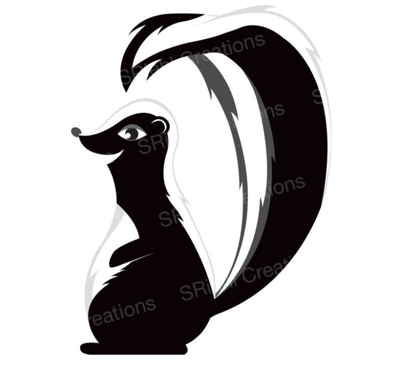 Cute skunk clipart png