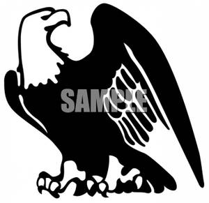 Black_and_White_Eagle_091204-203469-578009.jpg