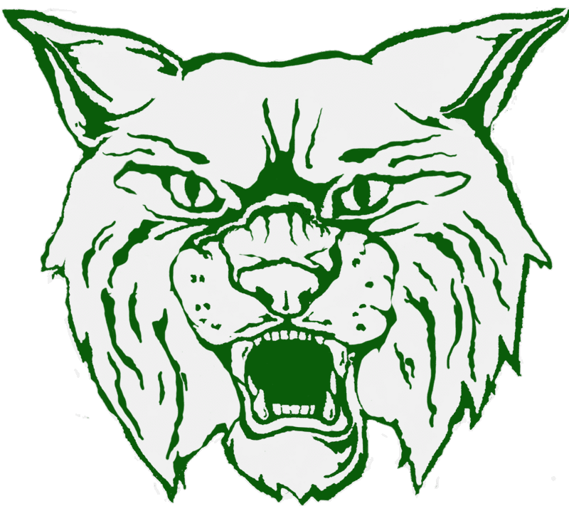 Wildcat clipart images