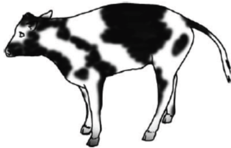 Ruminant GI - Veterinary Medicine 70003 with Bailey at University ...