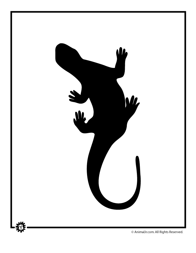 Lizard Template - Woo! Jr. Kids Activities