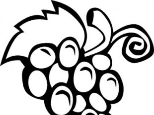 99 free grapes and vine graphics | tag | UI Download