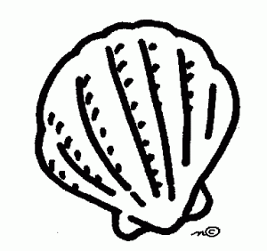 Seashell free clip art sea shells clipart image - Clipartix