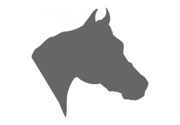 Horse Stencil Shapes - Custom Horse Stencils | Craftcuts.com