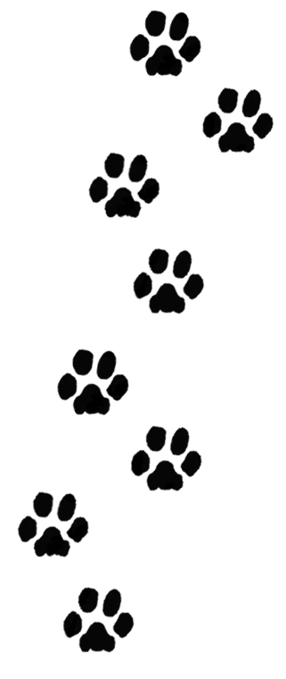 Colored paw print trail clipart