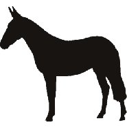 Horses - Animals - Shapes - Stencils