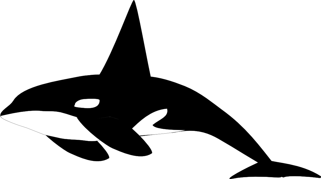 Orca Art