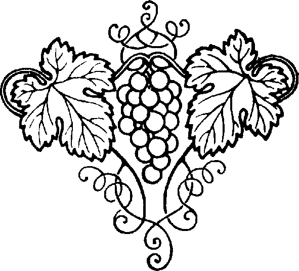 Grapes Vine Clipart - Free Clipart Images