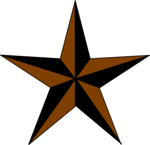 Texas Star Of Independence Quilt Detail