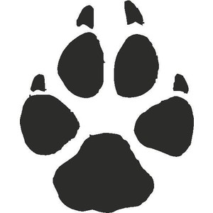 Grey Wolf Paw Print Tracks - Decals Stickers - Polyvore