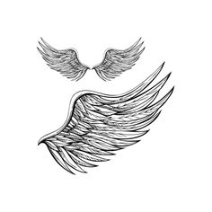 Drawings Of Angle Wings - ClipArt Best