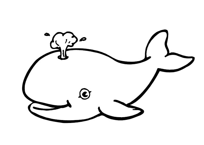 Shamu Cartoon | Free Download Clip Art | Free Clip Art | on ...