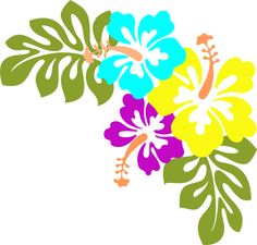 Hawaiian Flower Clip Art Borders - Free Clipart Images