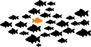 Animals Clipart School of Fish Clipart Gallery ~ Free Clipart Images
