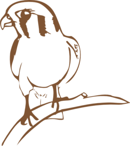 Falcon Symbol Clip art - Outline - Download vector clip art online
