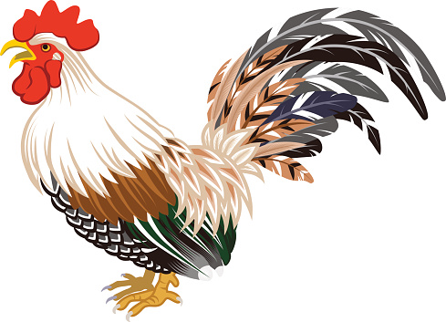 Rooster Crowing Clip Art Clip Art, Vector Images & Illustrations ...