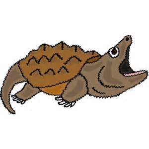 Cartoon Snapping Turtle, BT Snapping Turtle Cartoon Photo ...