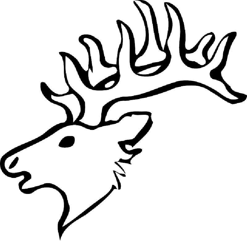 HEAD, SILHOUETTE, FACE, SKULL, CARTOON, DEER, HEADS - Public ...