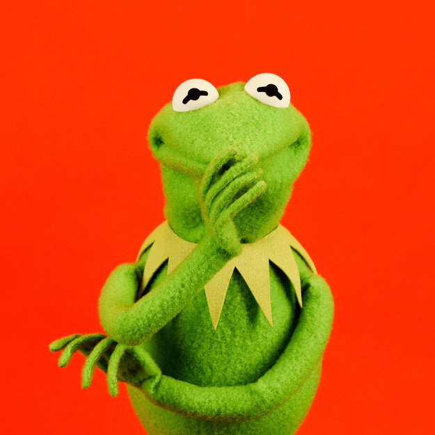 29 Burning Questions, Answered By Kermit The Frog