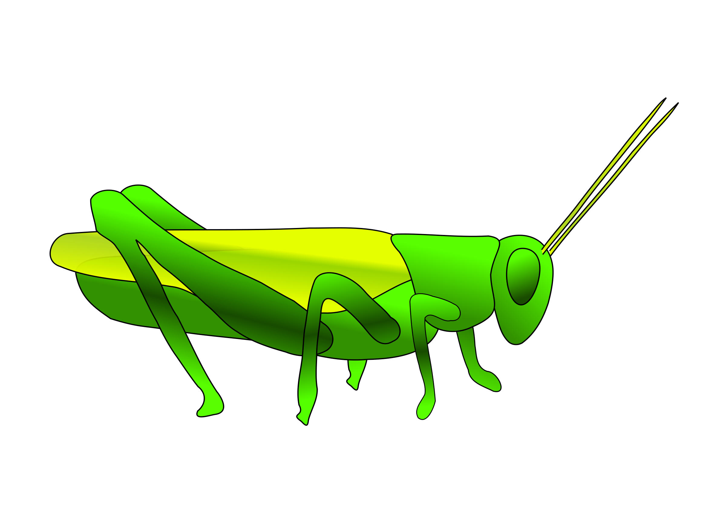 Grasshopper Clipart Images - Free Clipart Images