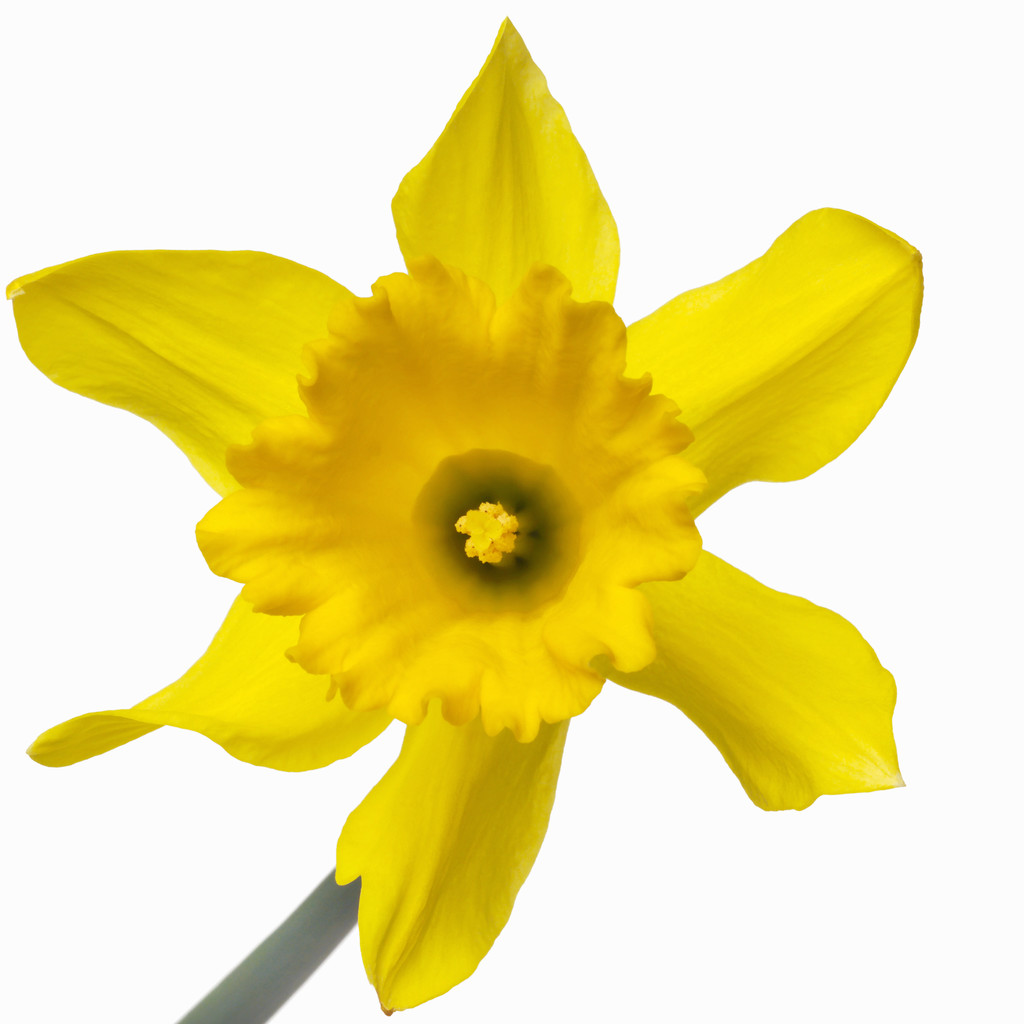 Necedah Community Siegler Memorial Library -