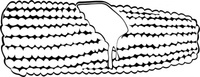 corn_on_the_cob_b_and_w_clip_ ...