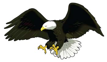 eagle-vector-11.jpg