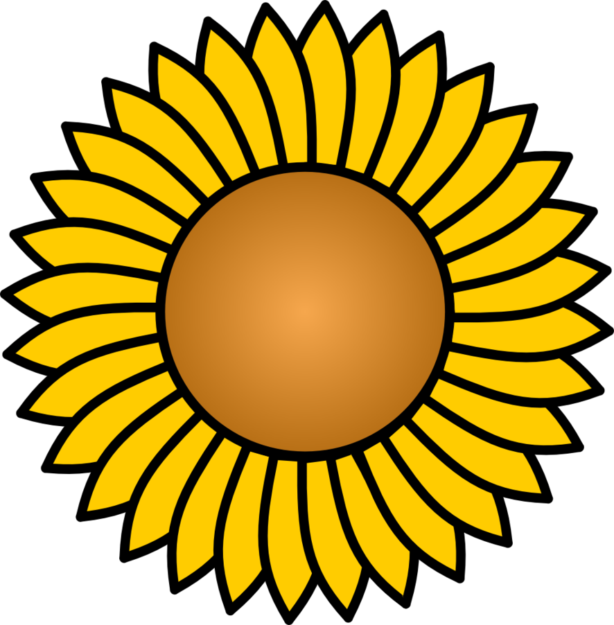 Sunflower Vector
