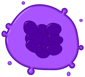 Allergy Notes: 04/