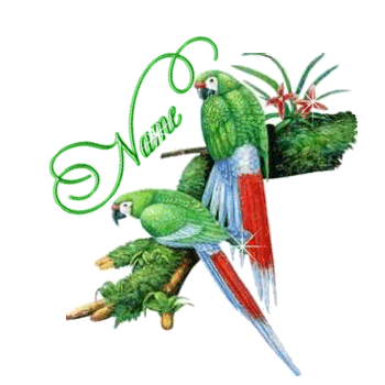 Animated Bird Email Signatures