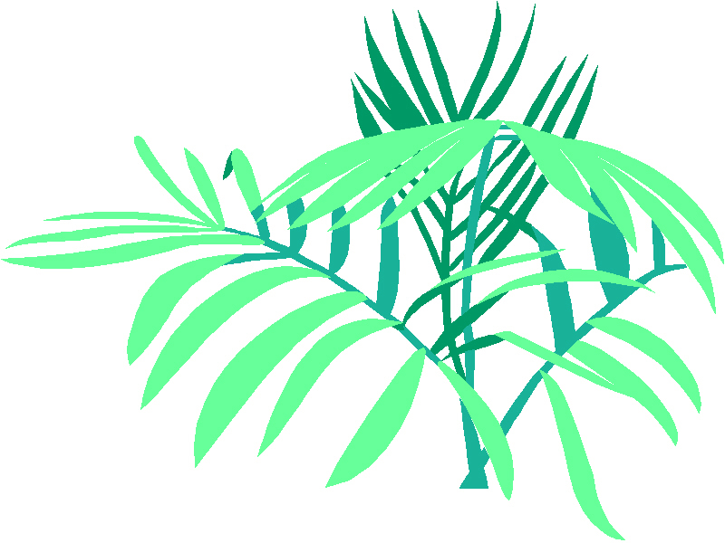 bcs.solano.edu - /workarea/clipart/PLANTS/