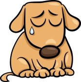 Sad Puppy Clipart