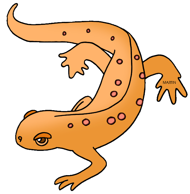 Newt Clipart