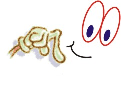 Finger Pointing Down Clipart