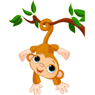 Monkey Images