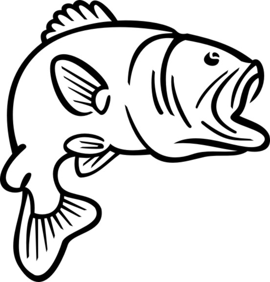 Bass fish clipart black and white - ClipartFox
