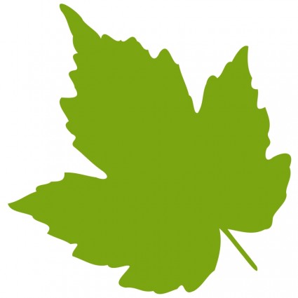 Pictures Of Grape Leaves | Free Download Clip Art | Free Clip Art ...