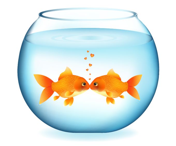 Fish in fishbowl clipart