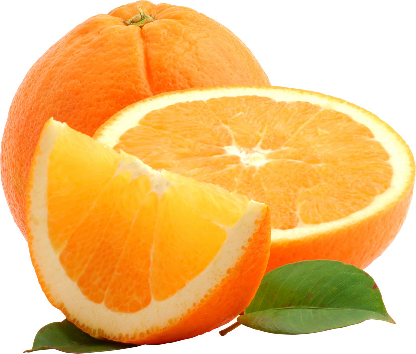 Best Orange Clip Art #16693 - Clipartion.com