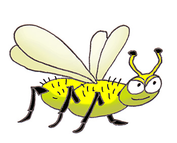 Cartoon Drawings of Animals