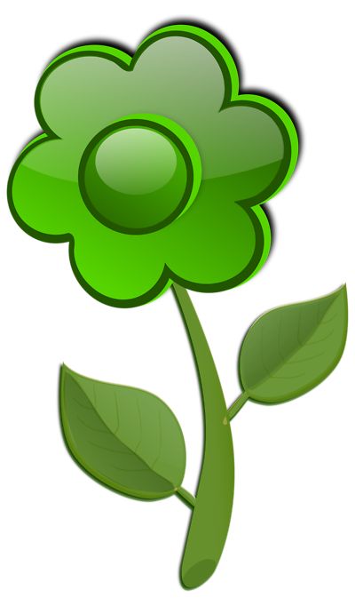 1000+ images about flower stems