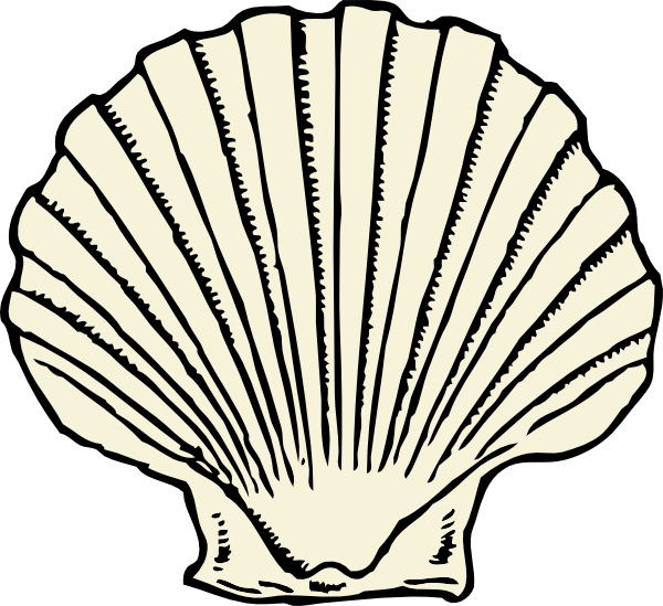Clam Clipart