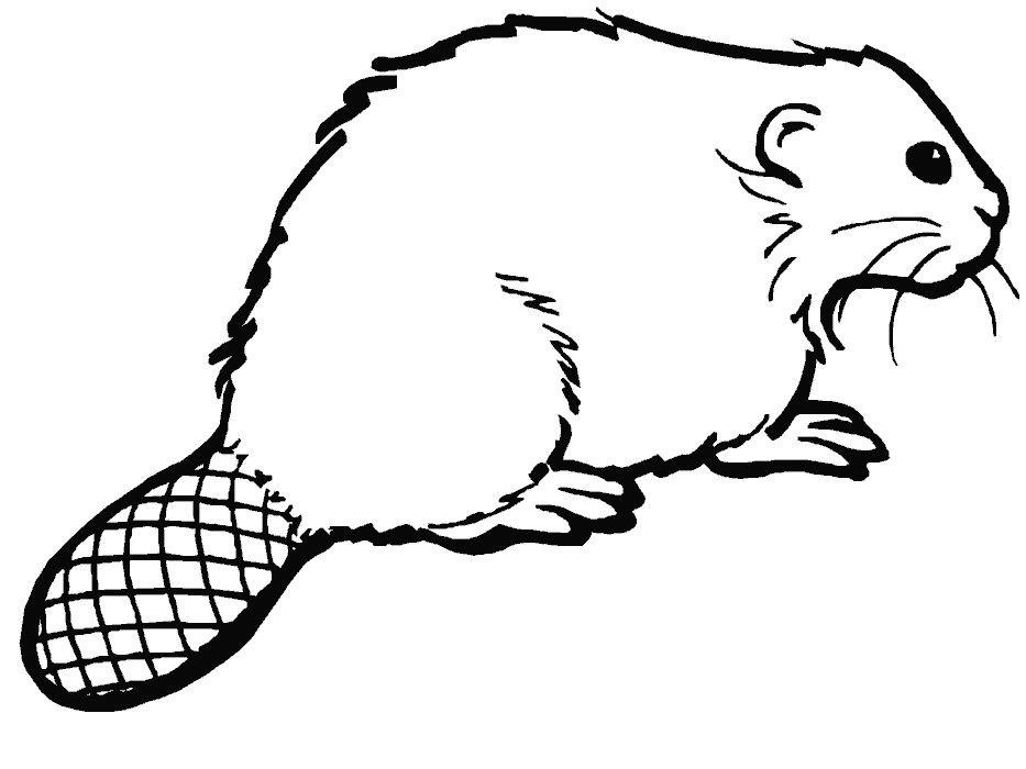 Cartoon Beaver Images | Free Download Clip Art | Free Clip Art ...