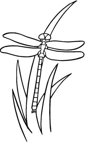 1000+ images about Coloring Pages | Hotel ...