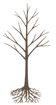 Bare Tree with Roots Clip Art � Clipart Free Download