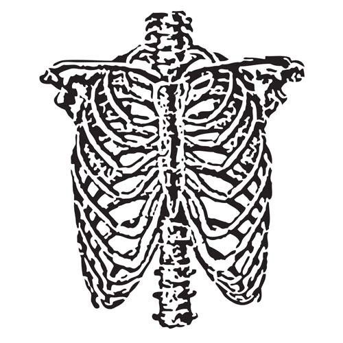 The Crafter's Workshop 6" x 6" Template - Rib Cage [TCW338s ...