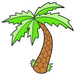 Cartoon palm tree